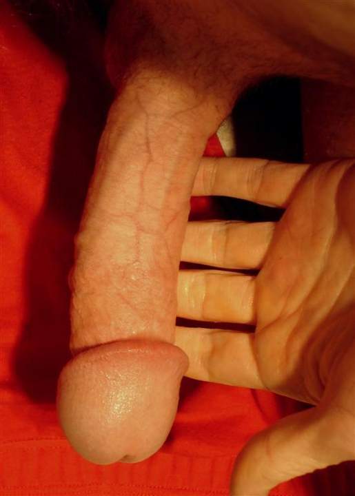 Photo of a middle leg from watching1967
