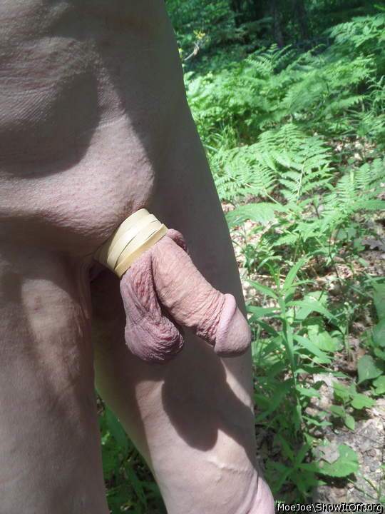 A recent outdoor pic.....