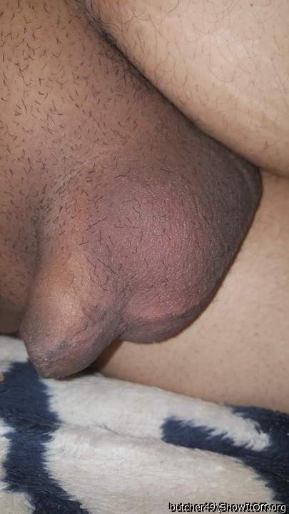 Testicles Photo from butcher49