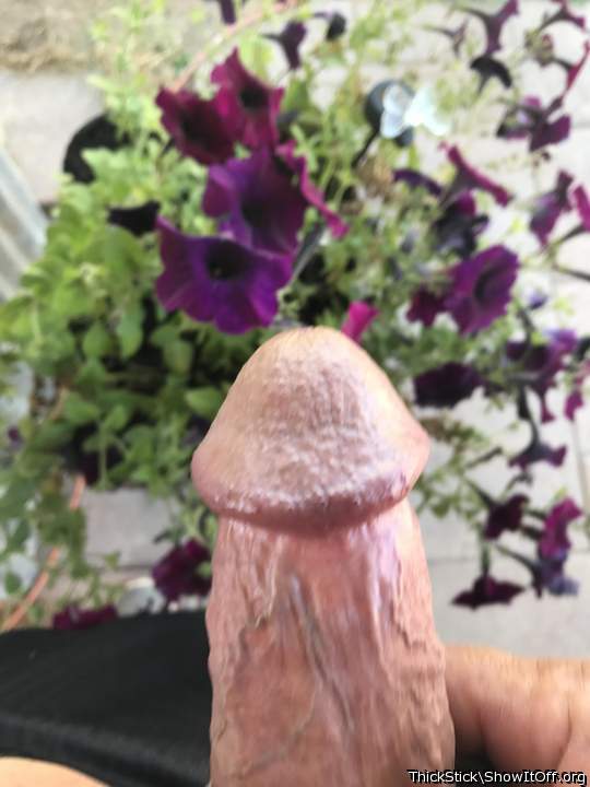 Fucking gorgeous hunk of Wang!   
