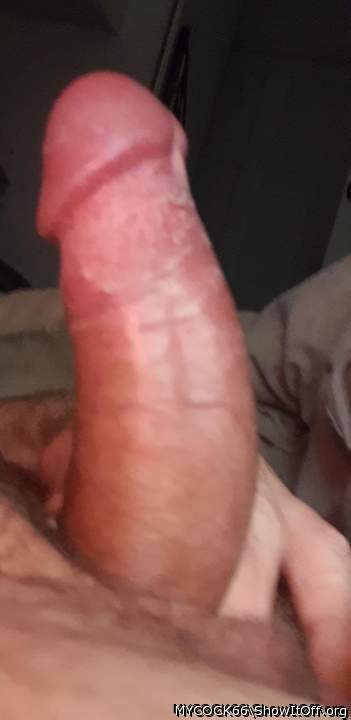 Photo of a weasel from MYCOCK66