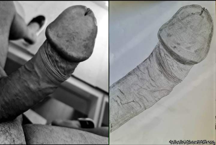Photo of a middle leg from delbello