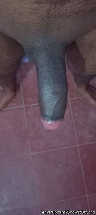 Photo of a ram rod from enviruppam