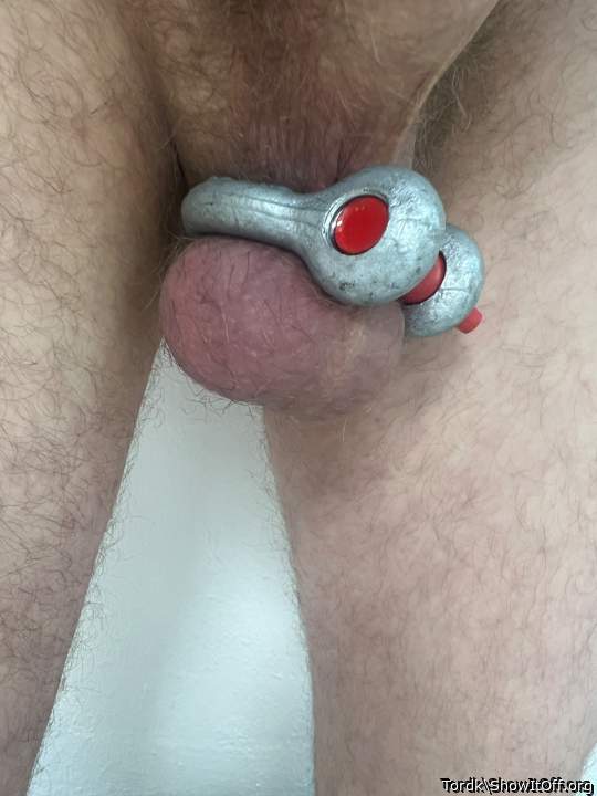 Testicles Photo from Tordk