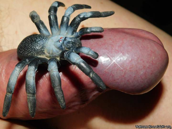 Spider on it