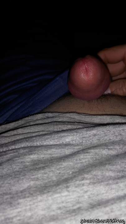 Photo of a dong from jelusic