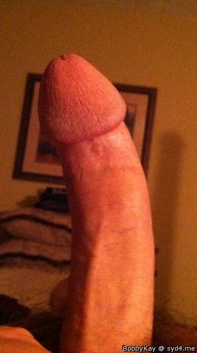 Splendidly solid, arrogant, elegant stiffy!

   