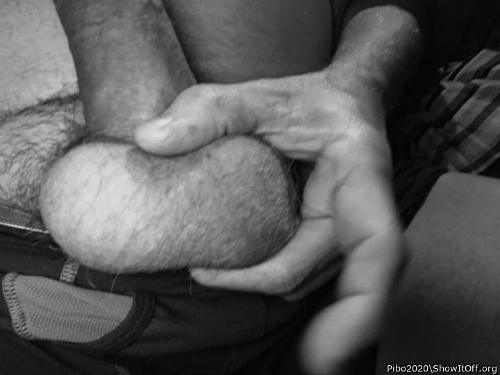 Testicles Photo from Pibo2020
