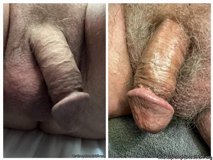 BirdDog and misterplump. Beautiful manhood.