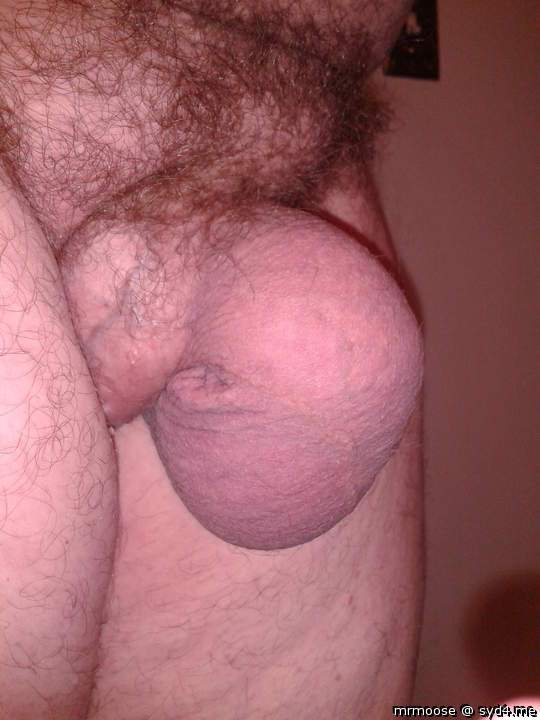 Who wants to play hide and seek?