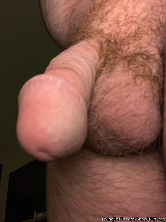 Photo of a phallus from LivingTheDream