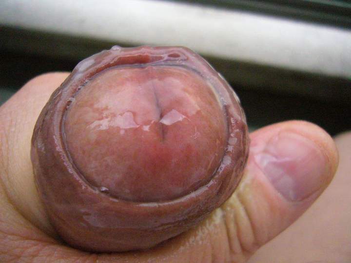 Photo of a third leg from vowowhouse