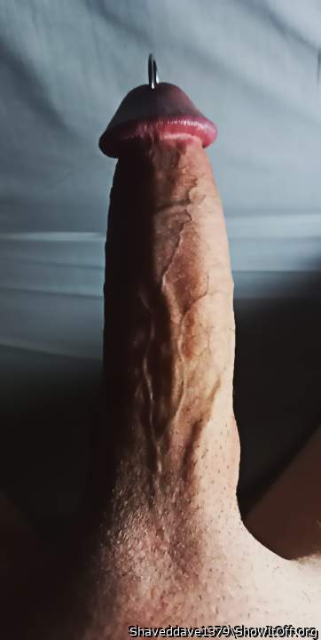 Hard as rock. I don't have the veiniest cock, but blood was flowing!