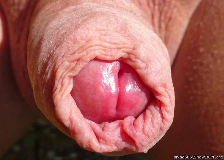 Stunning! Love that foreskin!    