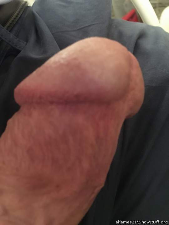 Photo of a weasel from aljames21