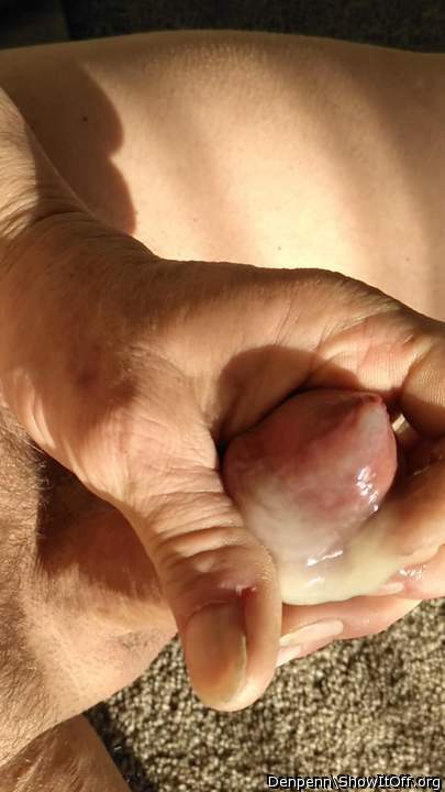 Photo of a python from Denpenn