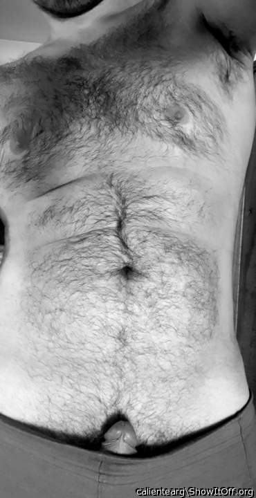 Photo of a short leg from calientearg