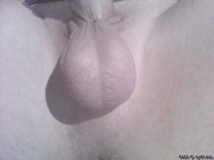 Testicles Photo from 0123