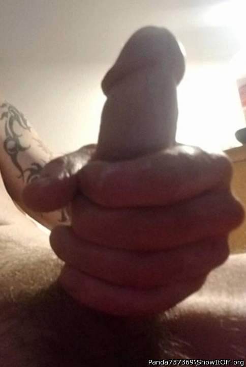Photo of a rooster from Panda737369