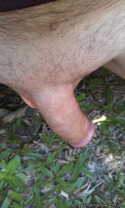 Photo of a dick from yesmam