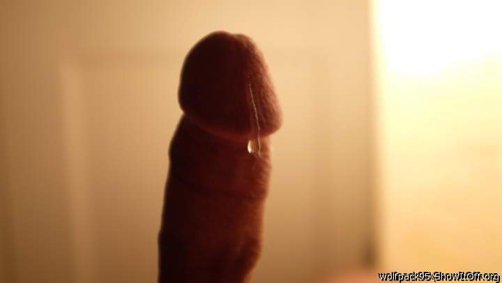 Precum drippimg down my cock
