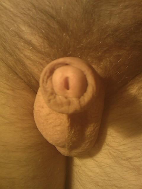 Photo of a schlong from yardog319