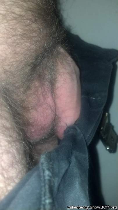 Photo of a python from calientearg