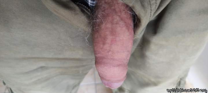 Photo of a sausage from syd26
