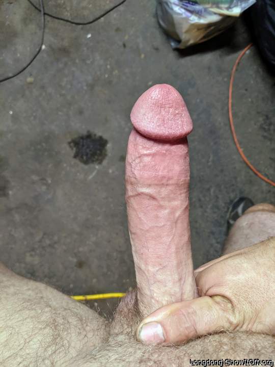 Looks like mine, only longer