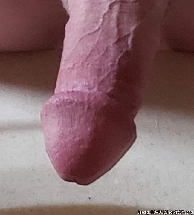 Awesome looking cock.   