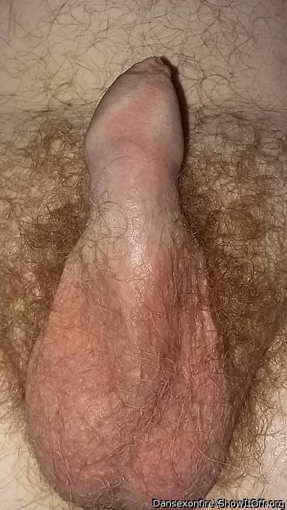 Photo of a horn from DanSexOnFire