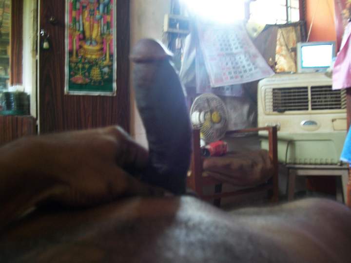 Photo of a cavalier from 8darkchoco