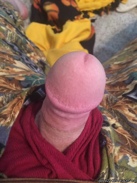 Photo of a pocket rocket from good22