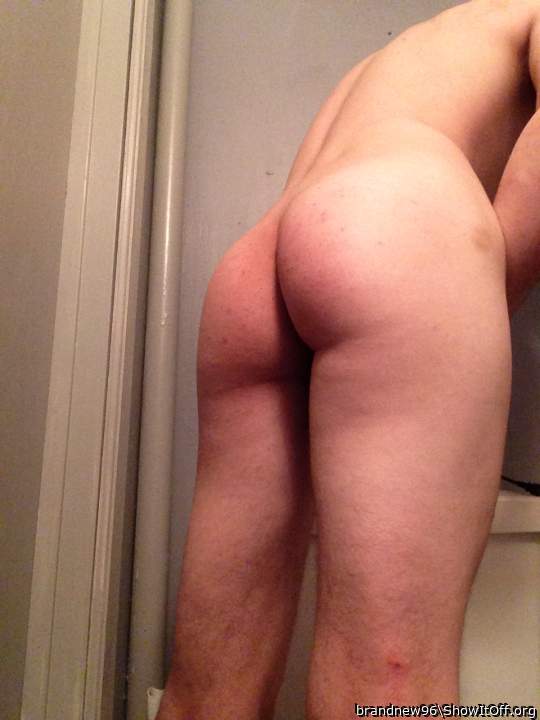 Photo of a middle leg from Brandnew96