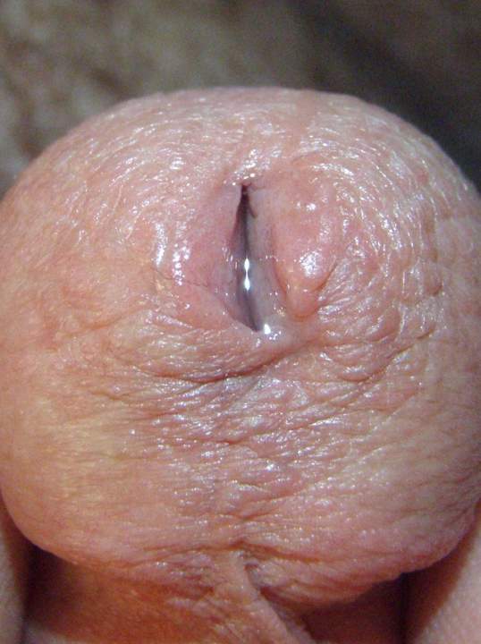 Adult image from lilsoftee
