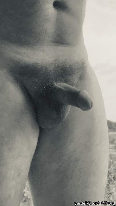 Photo of a love stick from yardel