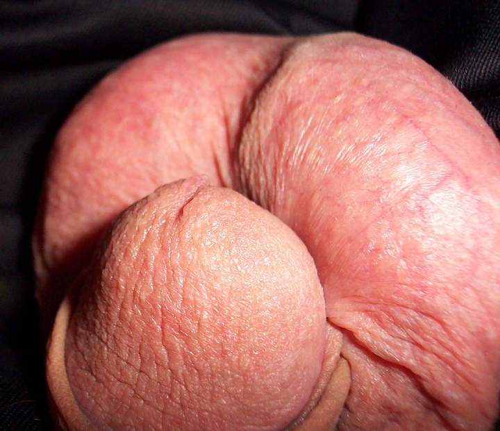 Photo of a hot dog from lilsoftee