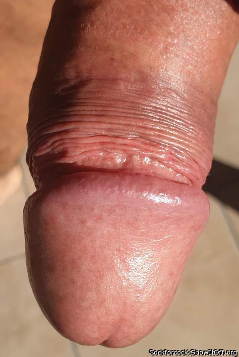Photo of a wiener from cockforcock