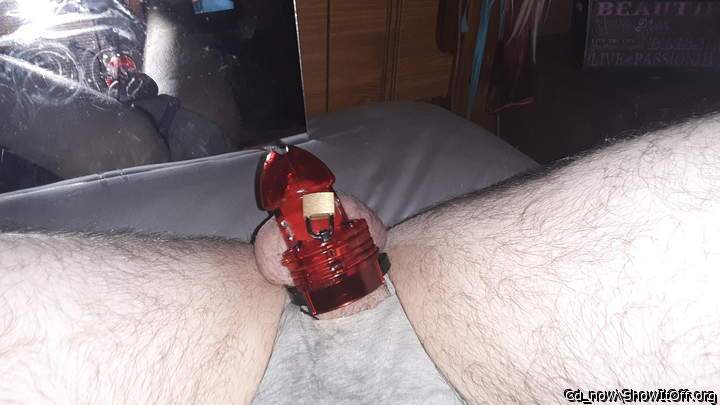 Photo of a pocket rocket from Cd_now
