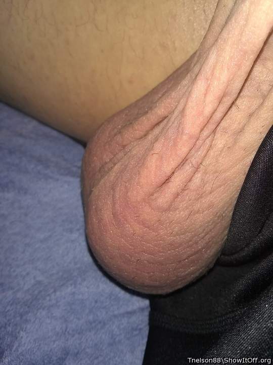 Yum, yum, scrotum!   
