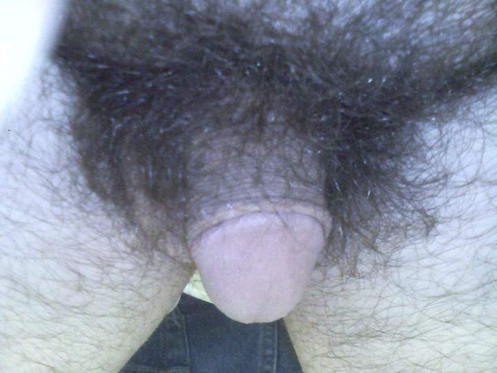 Photo of a dong from 8inchthickdick