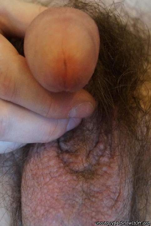Photo of a dong from uncutguy84