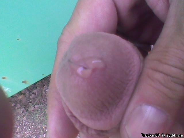 Cut