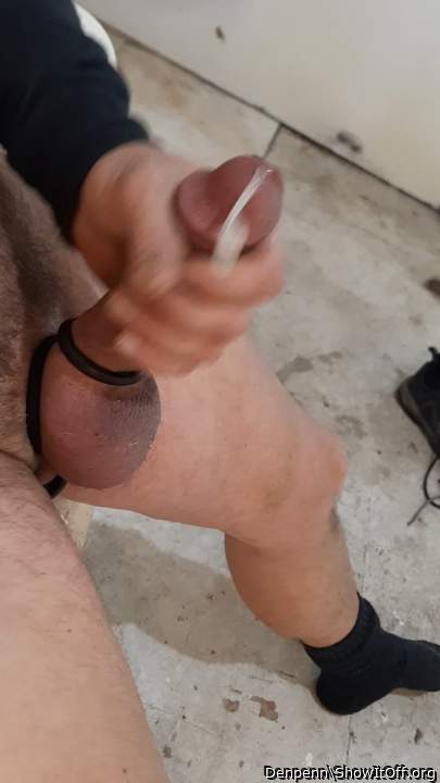 Photo of a dick from Denpenn