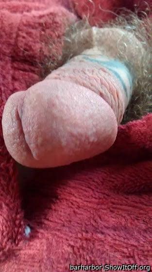 Head, shaft, and nuts.