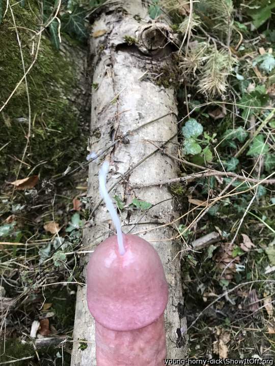 Outdoor cumshot