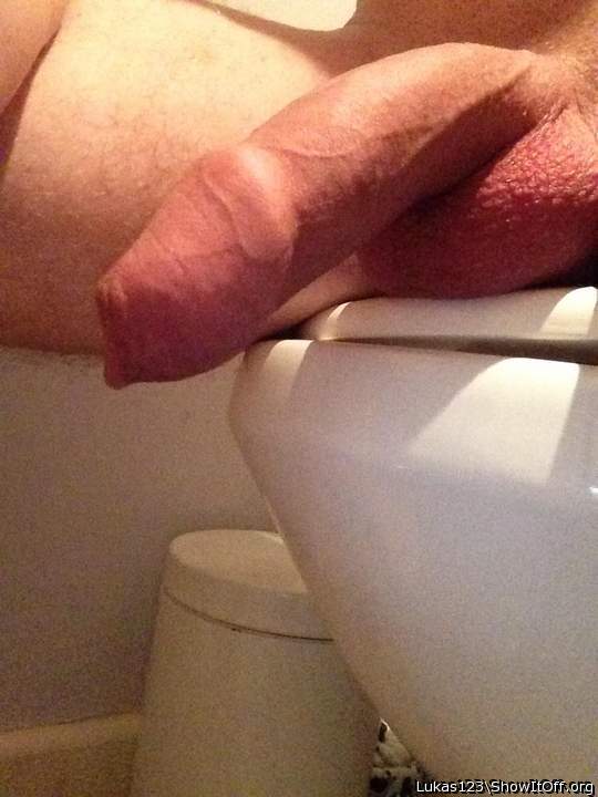 Photo of a bat from Lukas123