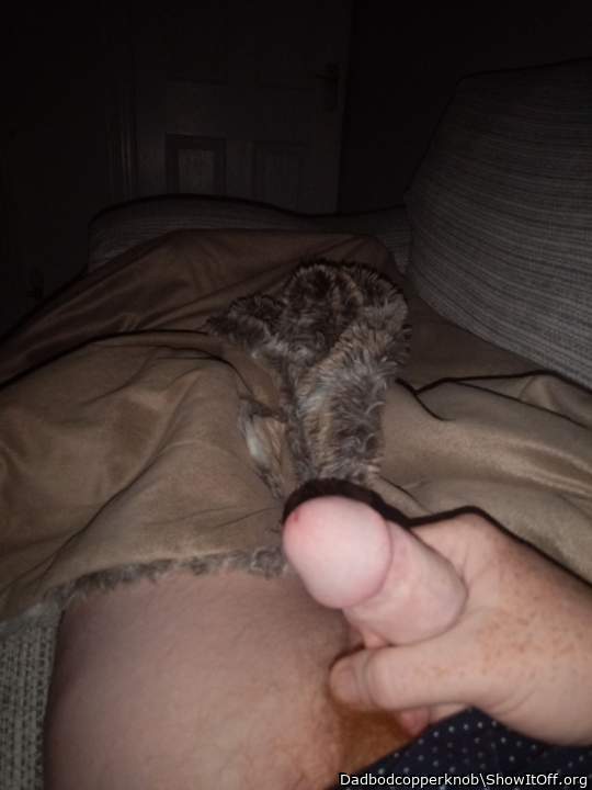 Photo of a middle leg from Dadbodcopperknob