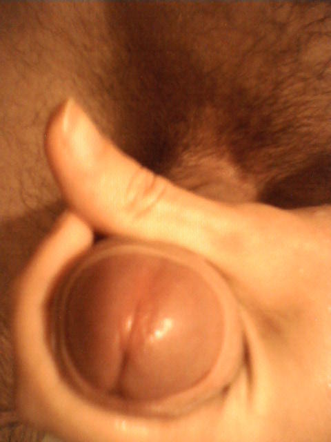 Photo of a meat stick from DarkMax