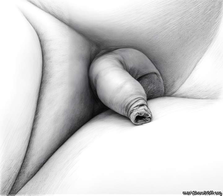 Sketch of a soft uncircumcised penis with foreskin in pencil from mzr